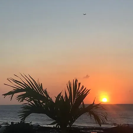 Palmera 3* Cartagena