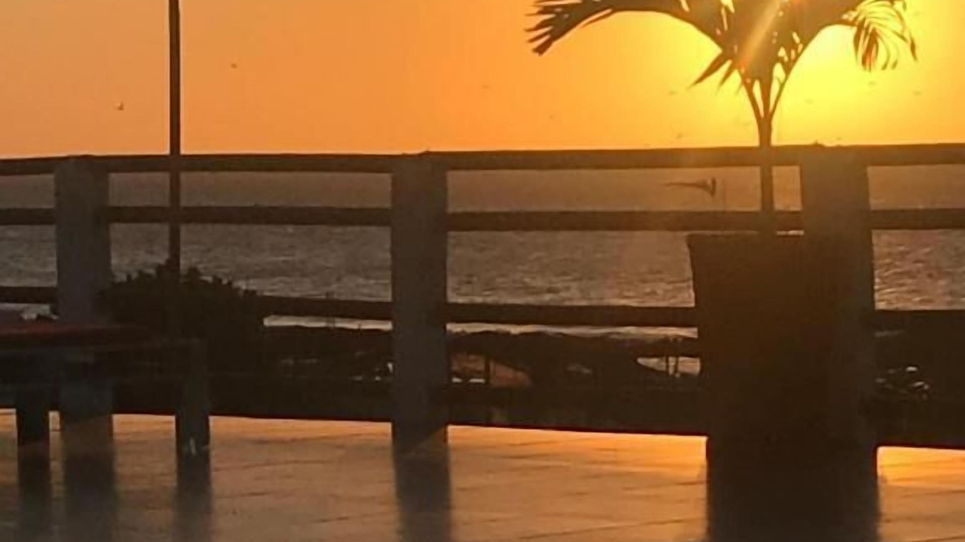 Hotel Palmera Cartagena