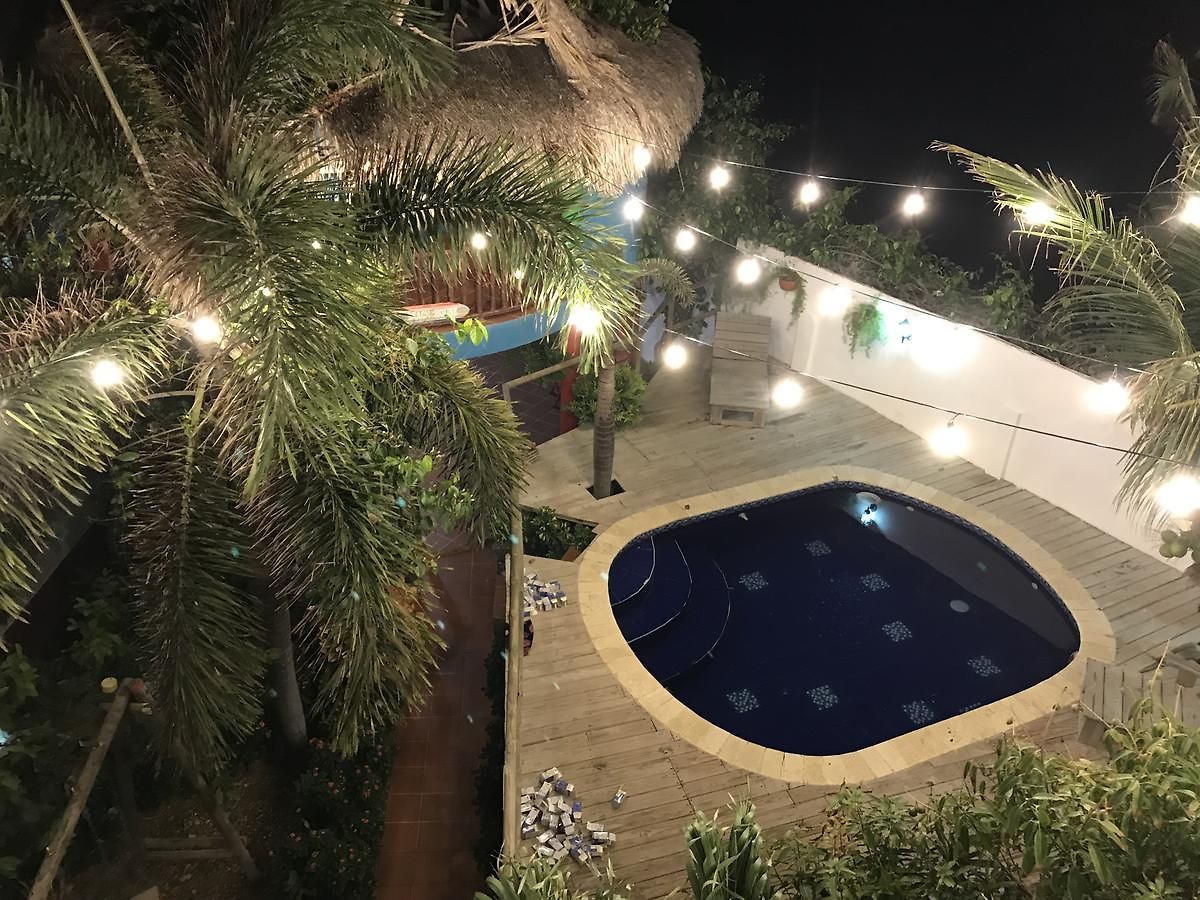 Palmera