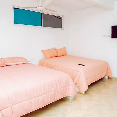Hotel Palmera
