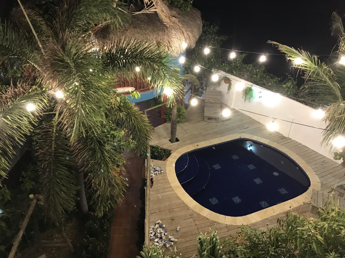 Palmera