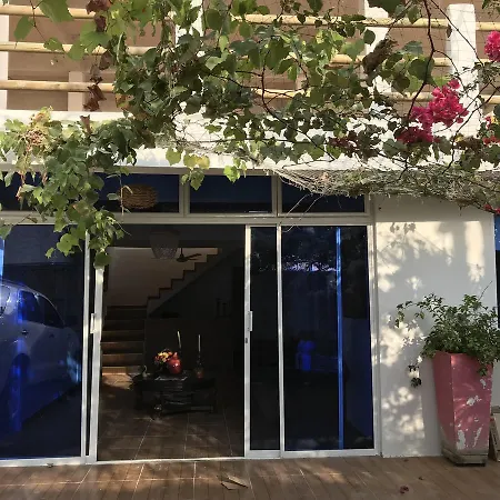 Palmera 3*