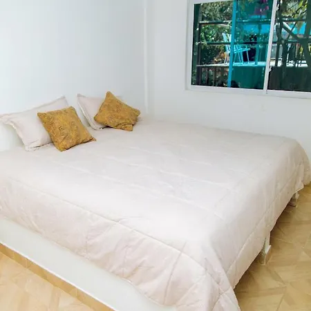 Palmera 3*