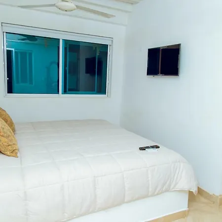 Palmera Cartagena