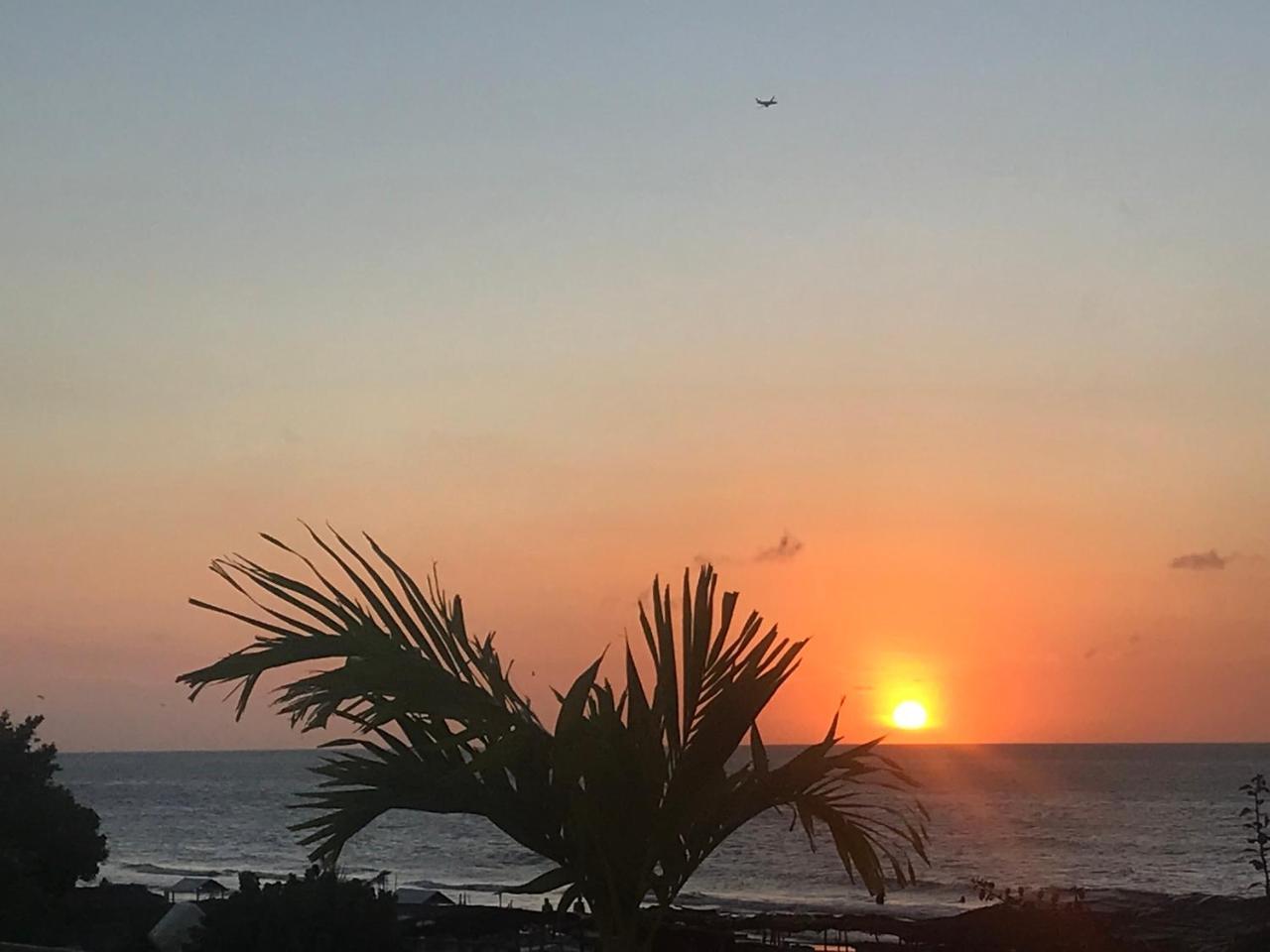 Palmera 3* Cartagena